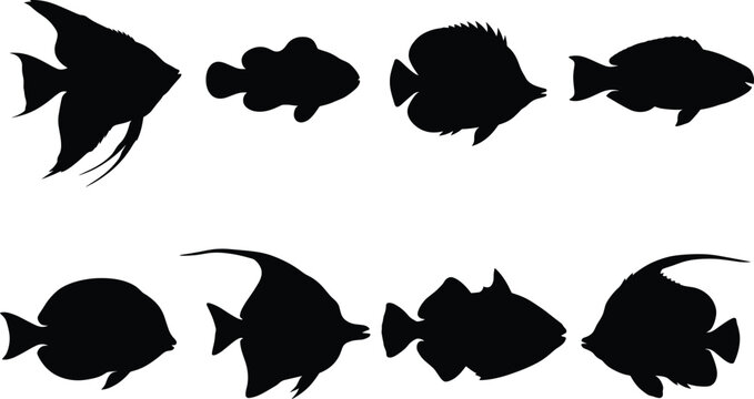 Set of tropical fish silhouettes aquarium and coral reef marine life isolated on white background
