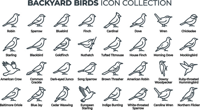 Backyard Birds Editable Outline Vector Icon Set Featuring Robin Sparrow Cardinal Blue Jay Finch Chickadee Wren and Common Garden Bird Species