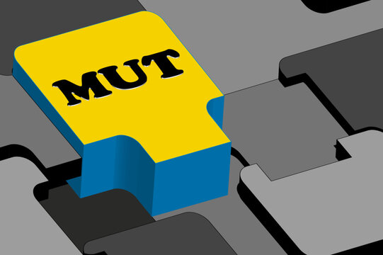 Puzzle Mut 2