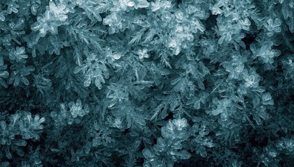 Naklejka premium Aerial view of frosty leaves in a muted color palette
