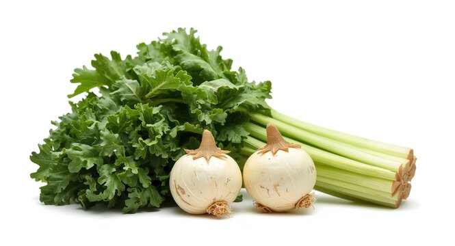 Fresh regional gurmar vegetable isolated on white background