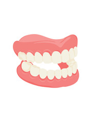 detailed dental prosthesis with artificial teeth realistic clinical illustration isolated on white background © Tetiana Kasatkina