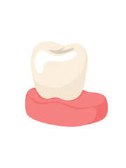 modern dental implant bridge with ceramic crowns isolated on white background © Tetiana Kasatkina