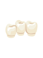 dental bridge prosthetic restoration illustration on white background © Tetiana Kasatkina