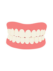 full acrylic denture illustration on white background © Tetiana Kasatkina