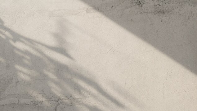 neutral toned concrete wall backdrop featuring copy space and shadow play