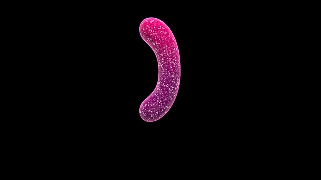 Floating Pink Jelly Candy Right Parenthesis Symbol Loop on Alpha Background