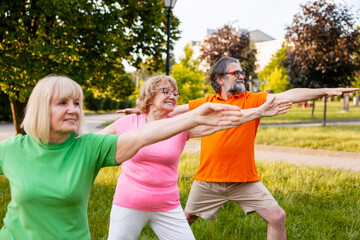 Obraz premium Seniors practicing yoga in park enjoying active lifestyle