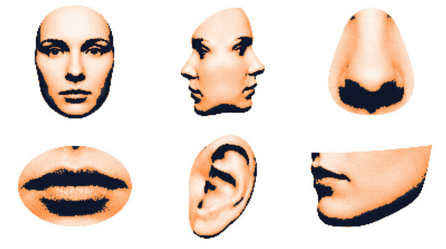 Human face elements grid vector illustration