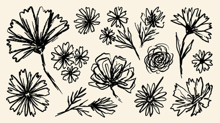 Fototapeta premium A grunge charcoal or chalk spring summer flower collection on display