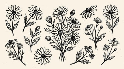 Fototapeta premium Grunge charcoal spring summer flower collection in a garden landscape