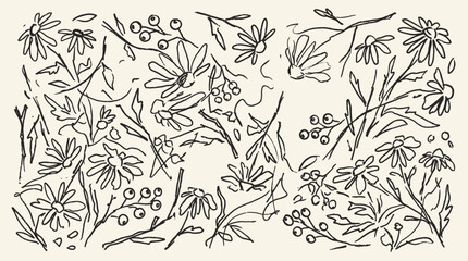Fototapeta premium Grunge charcoal spring flower collection with summer chalk illustrations