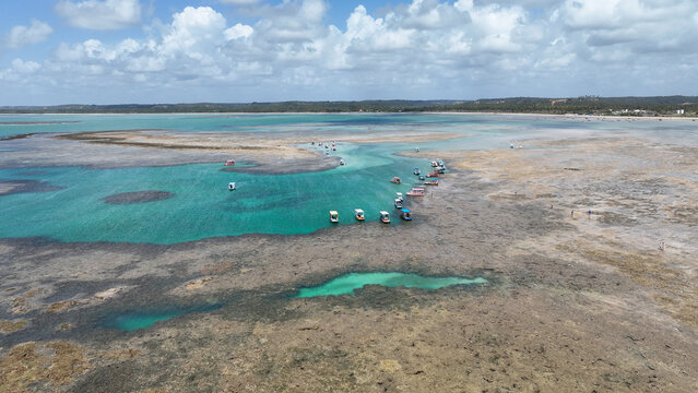 Patacho Natural Pools In Sao Miguel Dos Milagres Alagoas Brazil. Breathtaking Aerial View Of A Lush Tropical Coastline Scenery. Deserted Landscape Peaceful Amazing. Peaceful.