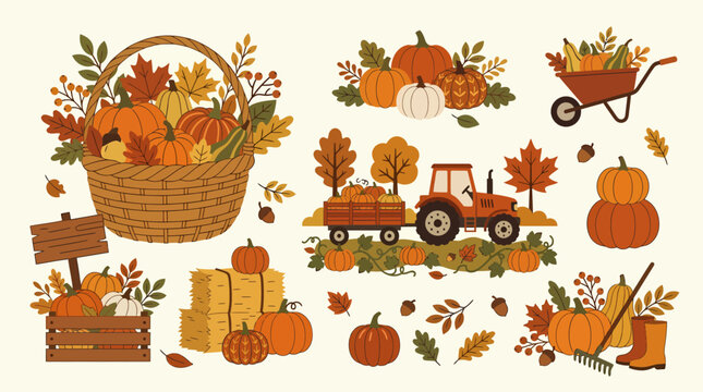 Autumn harvest vector illustration set with pumpkins tractor hay bales and leaves.