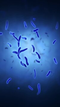 Bacteria , Amoeba , Micro Organism, Pathogens are moving on Ultra Microscopic View in Human Mouth	