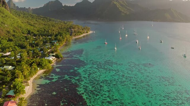 Moorea island aerial view with lush green mountains, turquoise lagoon, coral reef and sandy coastline dotted with sailboats and waterfront bungalows on a sunny day