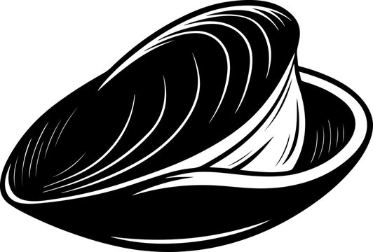 mussel shell vector illustration