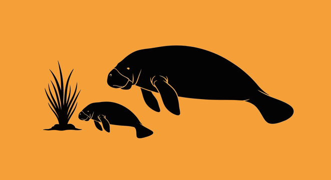Mother and baby manatee swimming together in nature.
