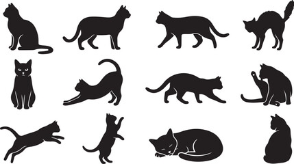 Black cat silhouette set, 12 feline icons, pet animal vector shapes isolated on Transparent Background © Rana