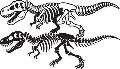 Tyrannosaurus Rex Skeleton Vector Illustration with Zebra Striped Dinosaur Silhouette Isolated in Black and White Cartoon Wildlife Art © BipashaSketches 
