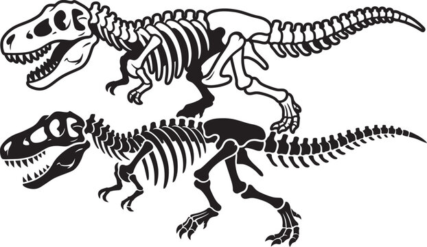 Tyrannosaurus Rex Skeleton Vector Illustration with Zebra Striped Dinosaur Silhouette Isolated in Black and White Cartoon Wildlife Art