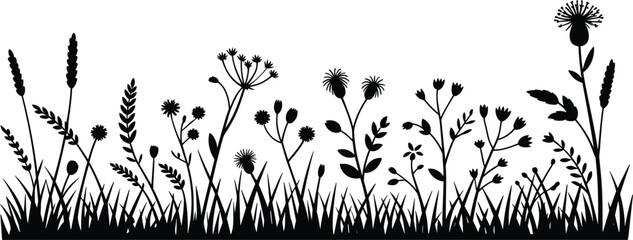 Wildflower Meadow Silhouette Border, Botanical Grass Vector Illustration Nature Floral Landscape Decorative Clipart Collection © Billal