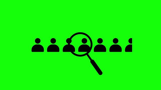 Magnifying glass searching user profile with recruitment and hiring animation on green background with alpha channel. Magnifying glass with person silhouette searching for another person