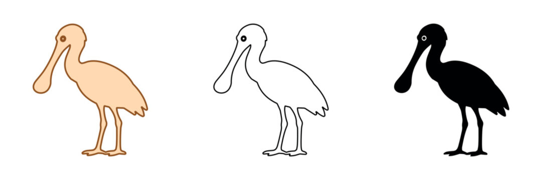 Three stylized spoonbill bird illustrations in different artistic styles