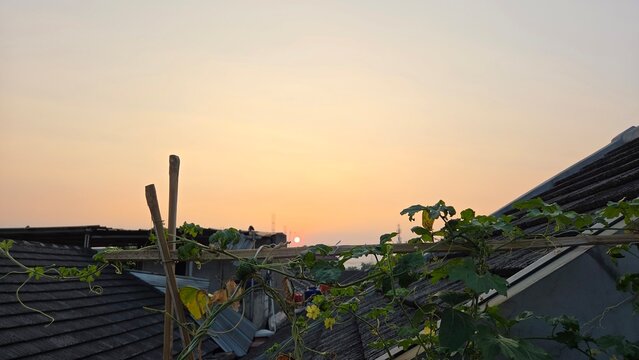 sunset in the city