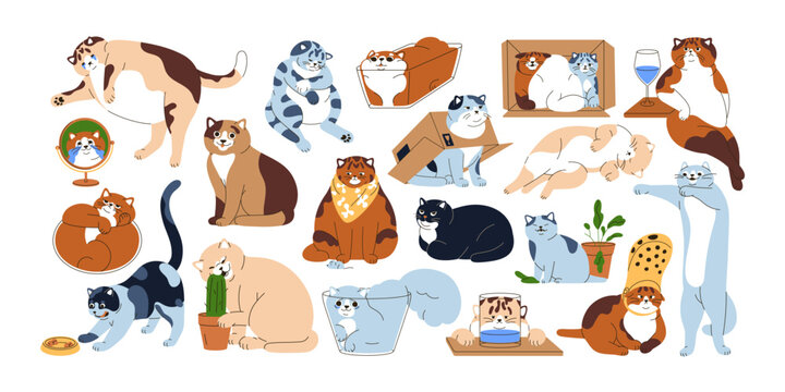 Funny mem cats set. Happy, sad or angry felines with amusing expressions, humorous emotions and comic poses. Cute meme kitties, humor animals. Flat vector illustrations isolated on white background