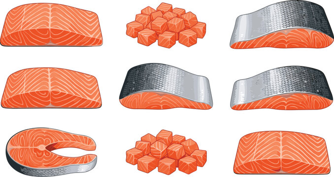Fresh raw salmon fish vector illustration collection featuring orange fillets skin-on steaks cut cubes and gourmet trout slices isolated on white background.