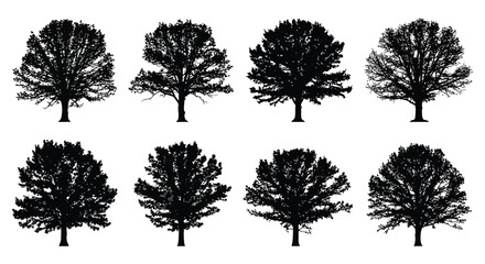 Fototapeta premium Tree Silhouettes Collection Black Shapes On White Background