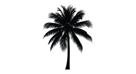 Fototapeta premium Palm tree silhouette against a white background tropical plant shape