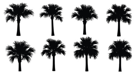 Palm tree silhouettes against a white background tropical vegetation collection © Sonia512