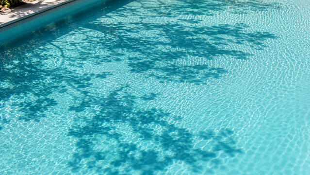 Clear blue water in a swimming pool reflecting shadows of nearby trees under bright sunlight.