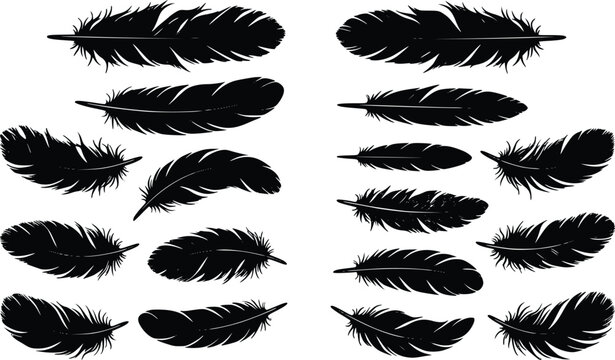 Black feather silhouettes set bird wing plume icons isolated on white