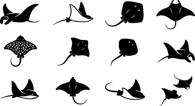 Stingray and Manta Ray Silhouette Vector Set with Marine Fish, Ocean Wildlife and Sea Animal Collection