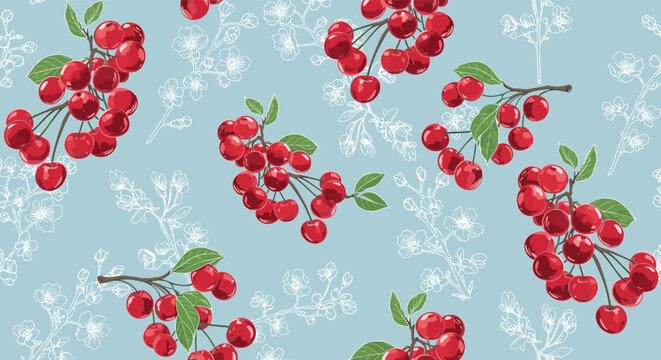 Seamless food pattern with ripe red cherries on branches and white cherry blossoms on a light blue background, vector.