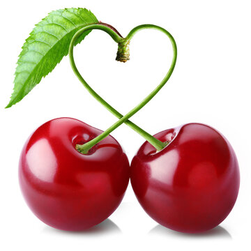 Two sweet cherries with heart shaped stems isolated on transparent background.