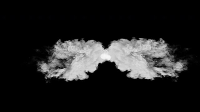 dynamic vfx pack fire smoke electric and cinema the smoke forms angel wings on black