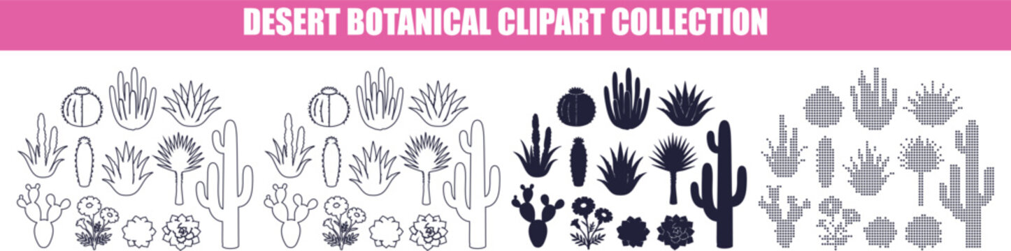 Desert botanical silhouettes in various styles during daylight isolated on white background