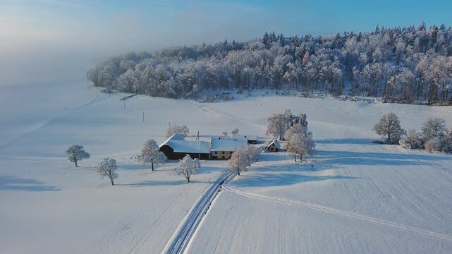 Aerial Winter Wonderland with People Cross-Country Skiing and Horse