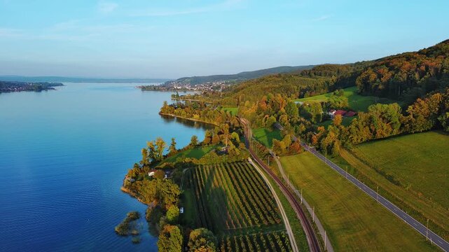 Aerial Drone View of Picturesque Lake Shoreline with Vineyards and Autumn Trees