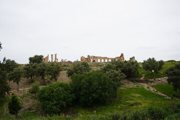 Fototapeta premium Ruins of roman basilica in ancient Volubilis. Complex of ruins of the Roman city Volubilis, Meknes region, Morocco, North Africa. Antique Roman city. Ancient ruins. Ancient town. Archaeological UNESCO