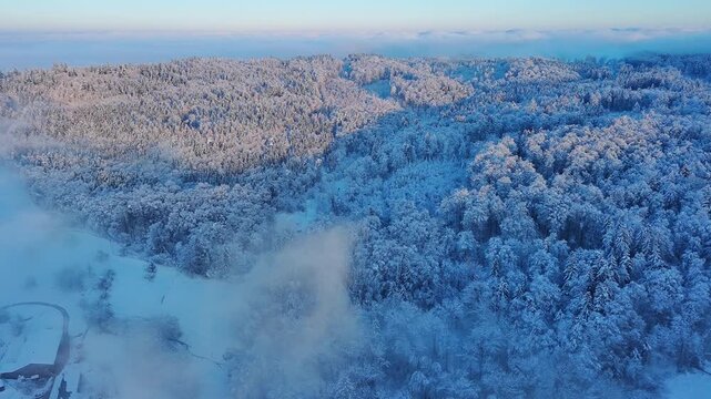 Drone View Over Serene Snowy Forest and Misty Valley in Winter