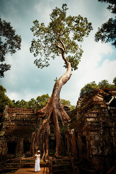 View of a woman standing before the massive roots of a silk-cotton tree engulfing the ancient stone walls of Ta Prohm temple in Krong Siem Reap, Siem Reap Province, Cambodia.