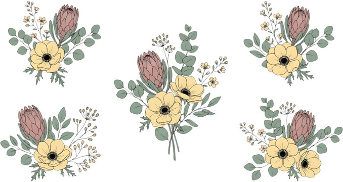 A collection of elegant botanical plant cactus type flower on a transparent background