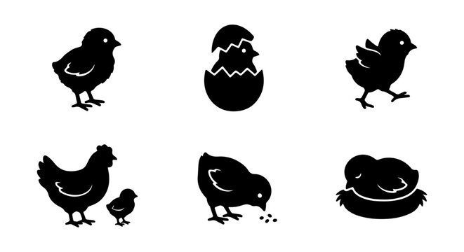 Charming Chick Icons, Baby Bird Silhouettes, Newborn Poultry Vector Set, Easter Spring Graphics