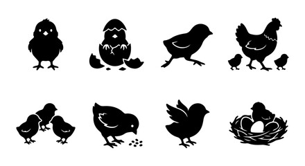 Cute Chick Silhouettes, Baby Birds Vector Icons, Farm Animal Graphics, Spring Easter Elements © al