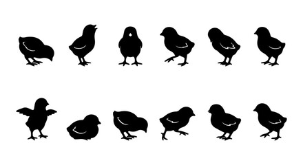 Cute Chick Silhouettes, Vector Set of Baby Birds in Various Poses, Simple Black and White Farm Animal Icons © al